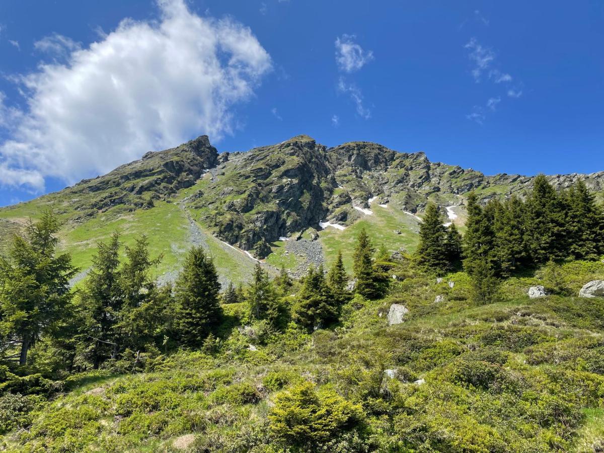 Landhaus Bergner Alm Fusch an der Glocknerstraße Eksteriør billede