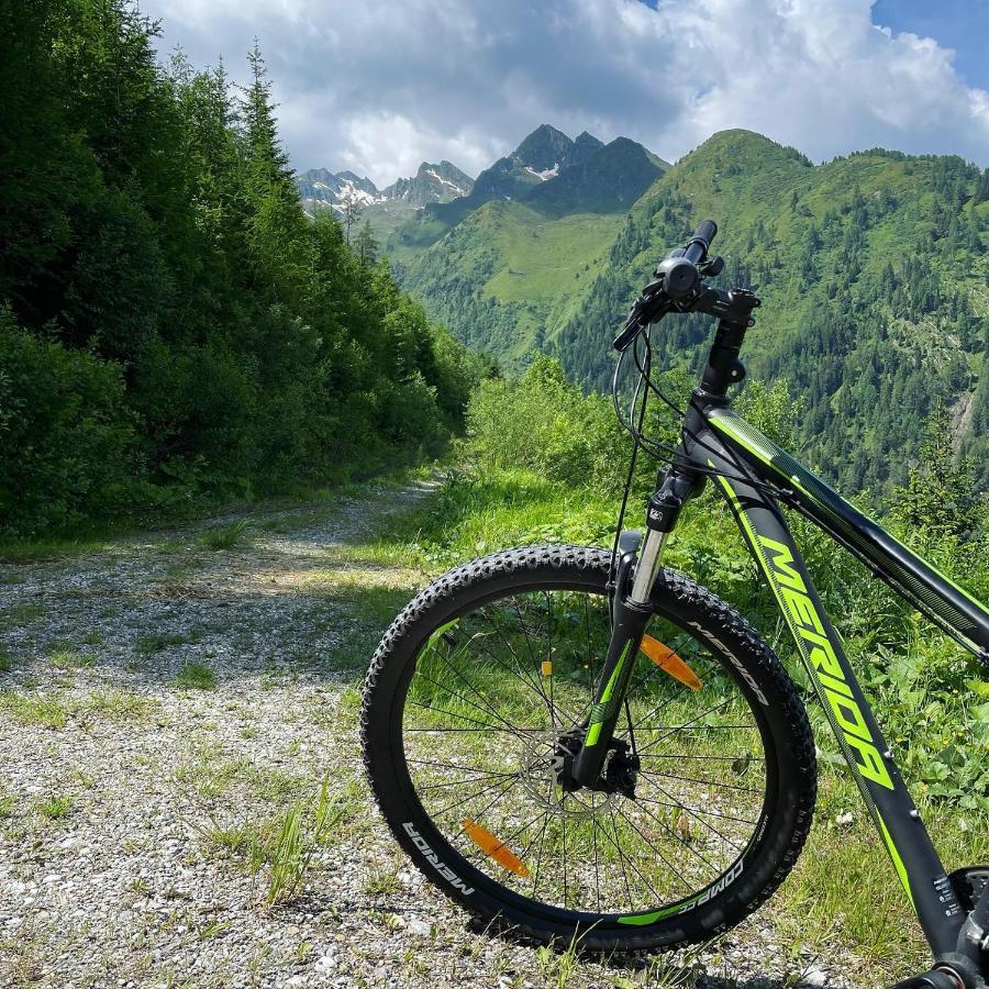 Landhaus Bergner Alm Fusch an der Glocknerstraße Eksteriør billede