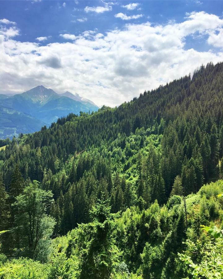 Landhaus Bergner Alm Fusch an der Glocknerstraße Eksteriør billede
